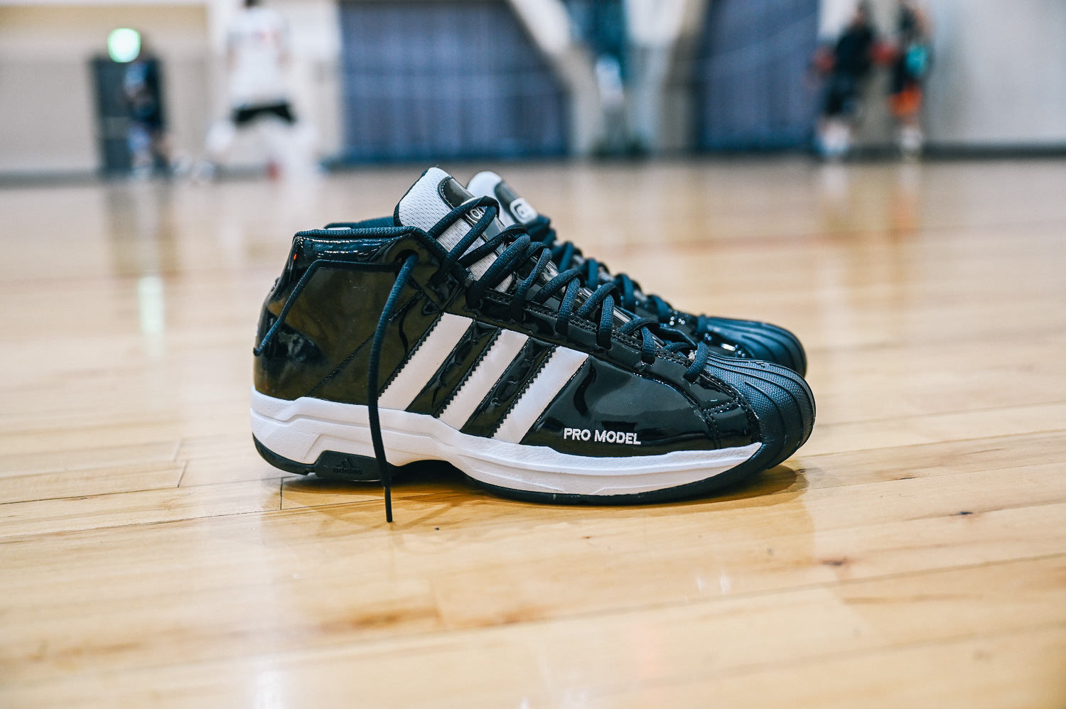20200117 adidas pro model-4